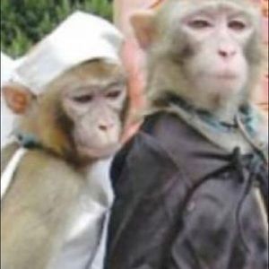 Meet your Posher, Gregory